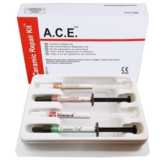 ΣΥΣΤΗΜΑ ΕΠΙΣΚΕΥΗΣ ΠΟΡΣΕΛΑΝΗΣ - ACE